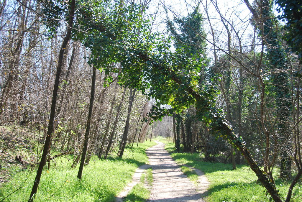 B&B Percorso Verde Ponte Valleceppi ภายนอก รูปภาพ